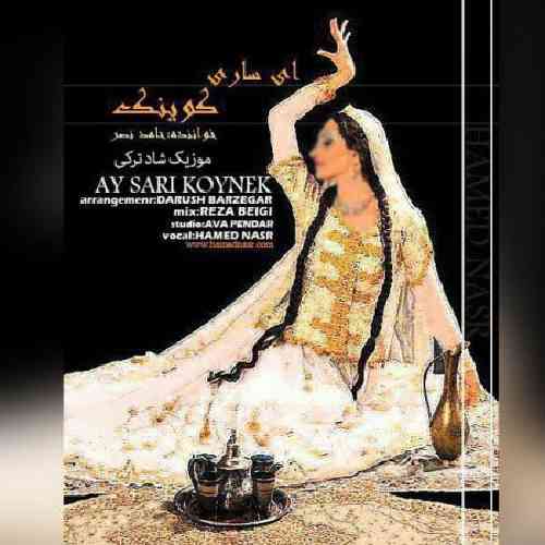 دانلود آهنگ ای ساری کوینک حامد نصر